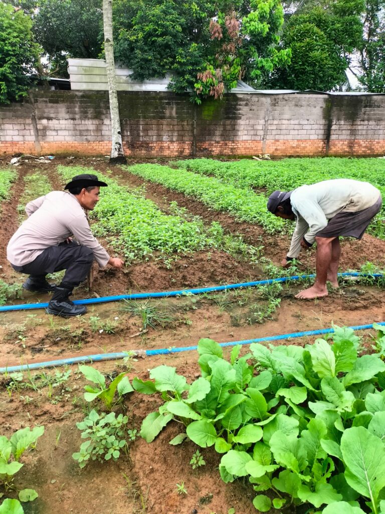 Dukung Ketahanan Pangan,Polsek Makarti Jaya Semaikan Bibit Tanaman