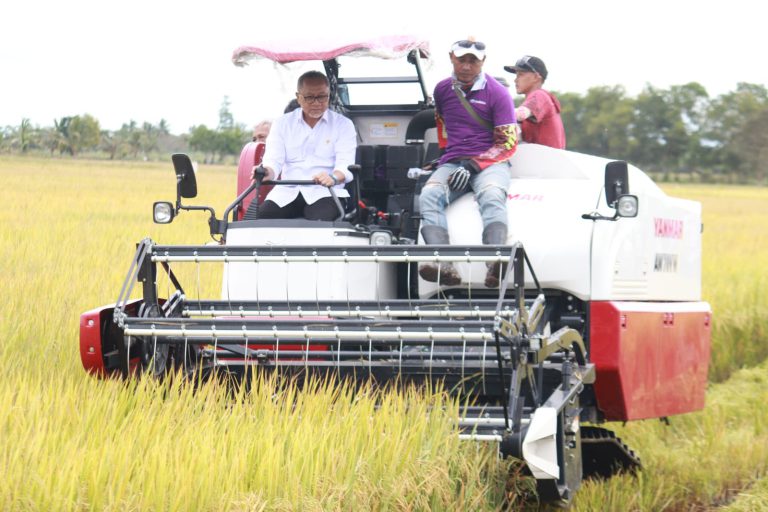 Panen Raya Dengan Menko Bidang Pangan RI Di Tanjung Lago